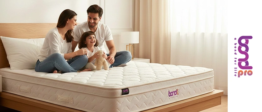 Mattress in Amlihdih raipur